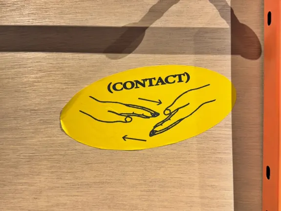 Wunderino Casino Supporto